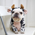 Cargar la imagen en la vista de la galería, French Bulldog sitting on a white chair wearing the full cow costume, showing front view of ears, horns, and pink belly
