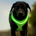 Cargar la imagen en la vista de la galería, Arnés luminoso LED para perros con carga USB, correa para el pecho para perros, arnés reflectante de seguridad para mascotas, chaleco para mascotas para cachorros, perros grandes, productos para mascotas
