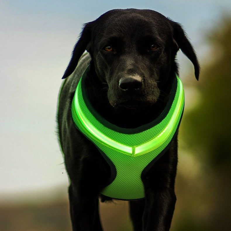 Arnés luminoso LED para perros con carga USB, correa para el pecho para perros, arnés reflectante de seguridad para mascotas, chaleco para mascotas para cachorros, perros grandes, productos para mascotas
