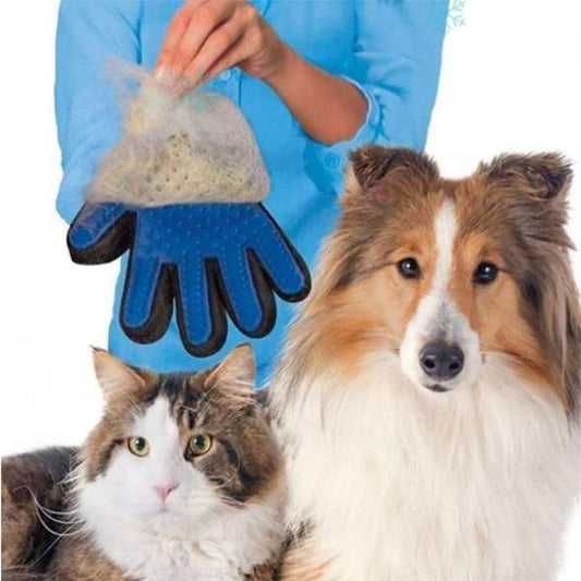 Blue pet grooming glove with rubber tips removing pet hair near a cat and dog
