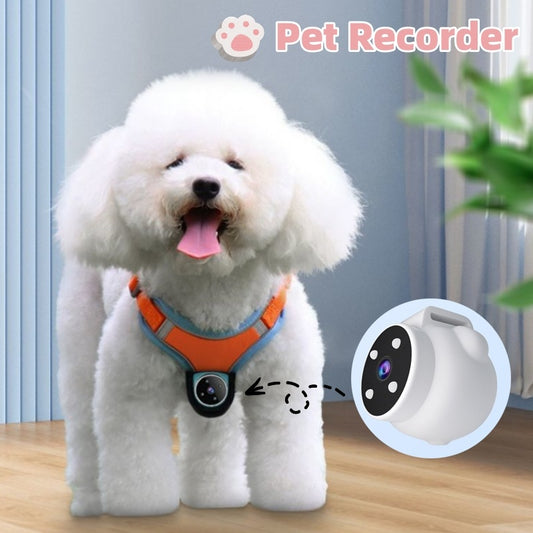 Grabadora de mascotas Collar rastreador de mascotas Perros y gatos Ángulo de visión Cámara de grabación de movimiento Cámara de acción con videos que graba Collares para gatos Cámara Productos deportivos para mascotas
