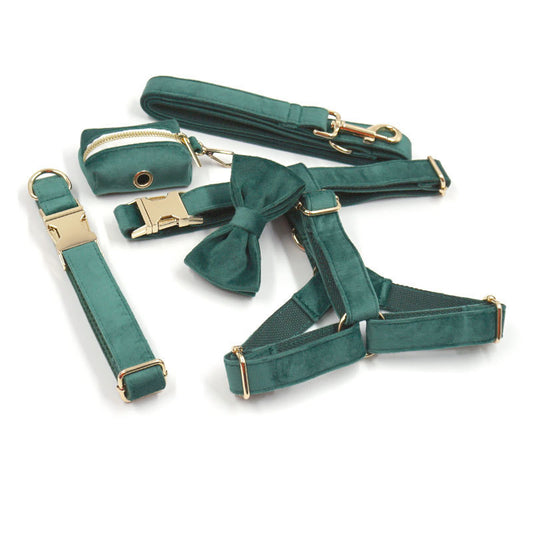 Green velvet dog collar, leash, harness, bowtie and waste bag holder set with gold hardware
