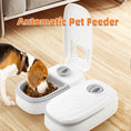 Charger l'image dans la visionneuse de la galerie, Dog eating dry food from white automatic timed pet feeder with open lid and mechanical timer dial
