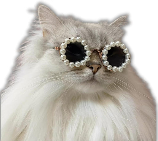 Cat And Dog Pearl Party Sunglasses