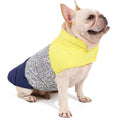 Cargar la imagen en la vista de la galería, French bulldog wearing a yellow, reflective patterned, and navy blue dog jacket sitting on white background
