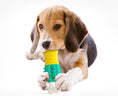 Load image into Gallery viewer, Summer Cooling Cleaning  Care  Teeth Pet Chewing Supplies
