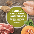 Cargar la imagen en la vista de la galería, Natural functional ingredients supporting digestive health including slippery elm, grass-fed lamb, chicory root, spinach, free-range chicken, pumpkin, and fresh lamb meat displayed
