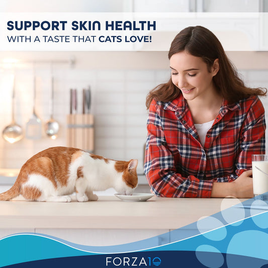 Woman watching orange and white cat eating in kitchen, promoting skin health support