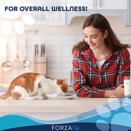Woman smiling and watching orange-white cat eat Forza10 Hypoallergenic cat food in a kitchen setting emphasizing overall wellness