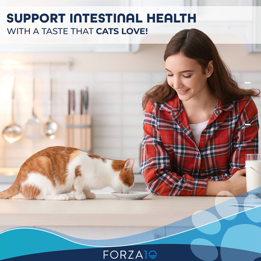 Smiling woman watching a red and white cat eating from a white plate on kitchen counter with text about intestinal health