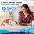 Cargar la imagen en la vista de la galería, Cat owner watching as an orange and white cat eats, highlighting support for kidney health, no corn, no GMOs
