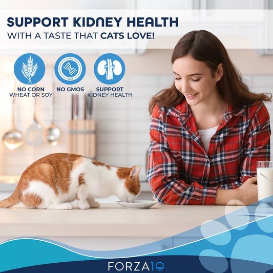 Cat owner watching as an orange and white cat eats, highlighting support for kidney health, no corn, no GMOs