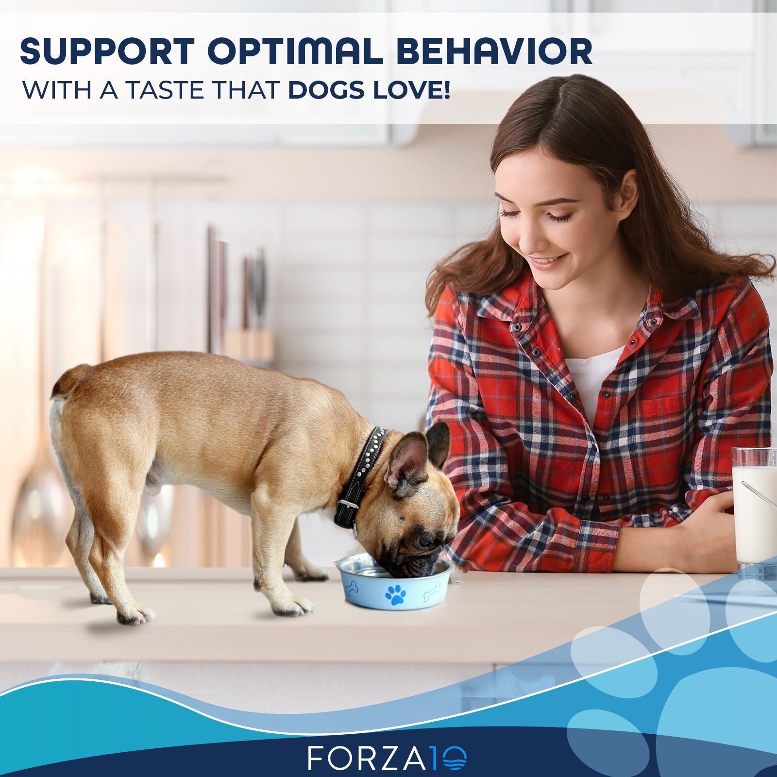 Woman feeding a small brown French Bulldog from a blue paw print dog bowl in kitchen