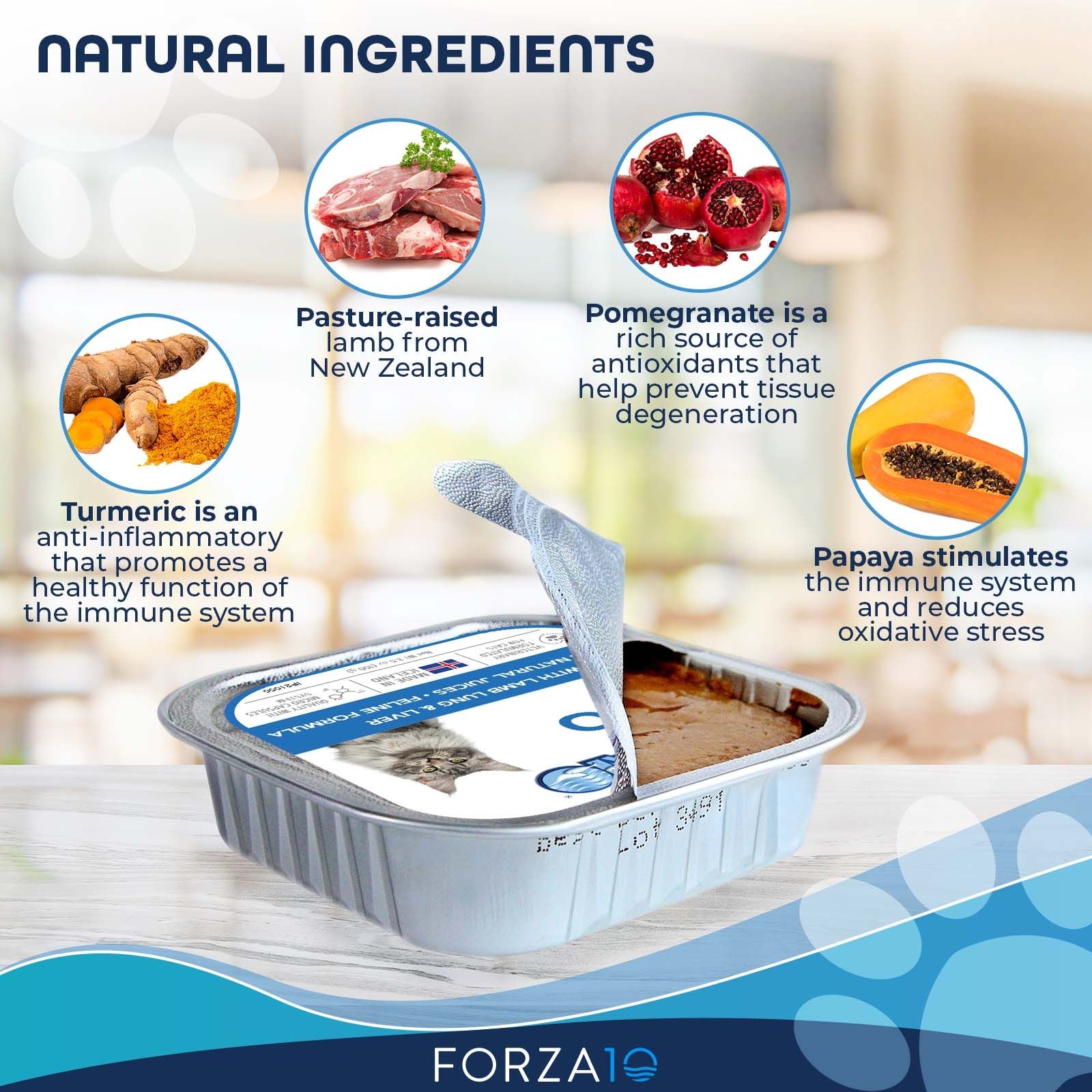 Opened Forza10 Actiwet Hypo tin showing smooth pâté with natural ingredient descriptions
