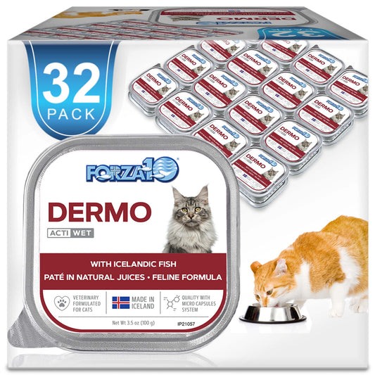 Forza10 Dermo cat wet food 32-pack with Icelandic fish, pet eating from bowl