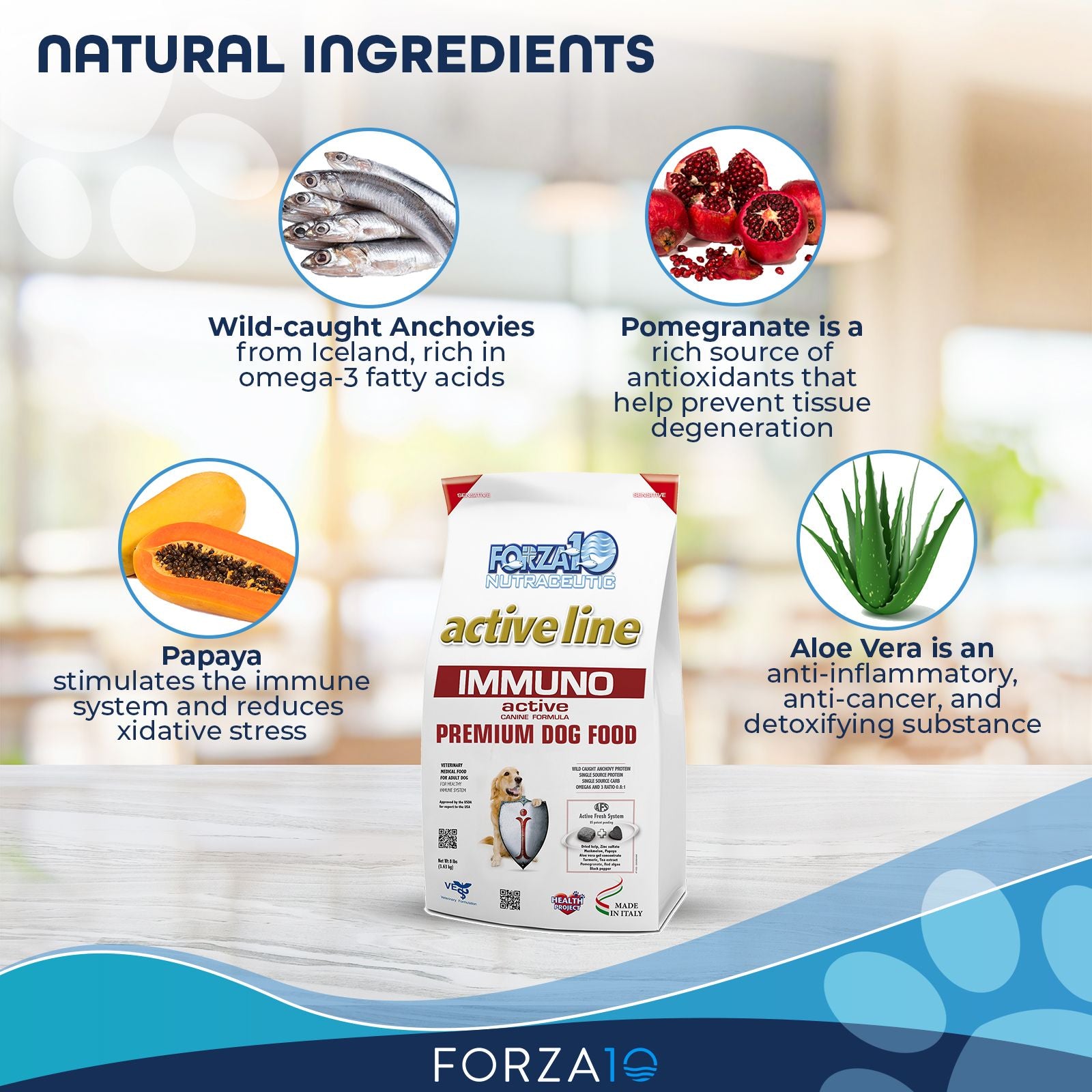 Natural ingredients in Forza10 Immuno Active dog food include wild-caught anchovies, pomegranate, papaya, and aloe vera.