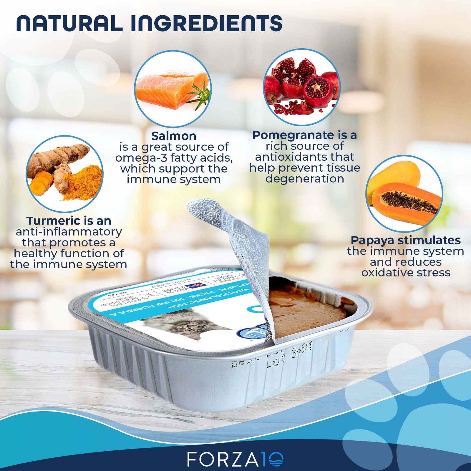 Close-up of natural ingredients including salmon, turmeric, pomegranate, and papaya promoting immune system support alongside Forza10 cat food tray