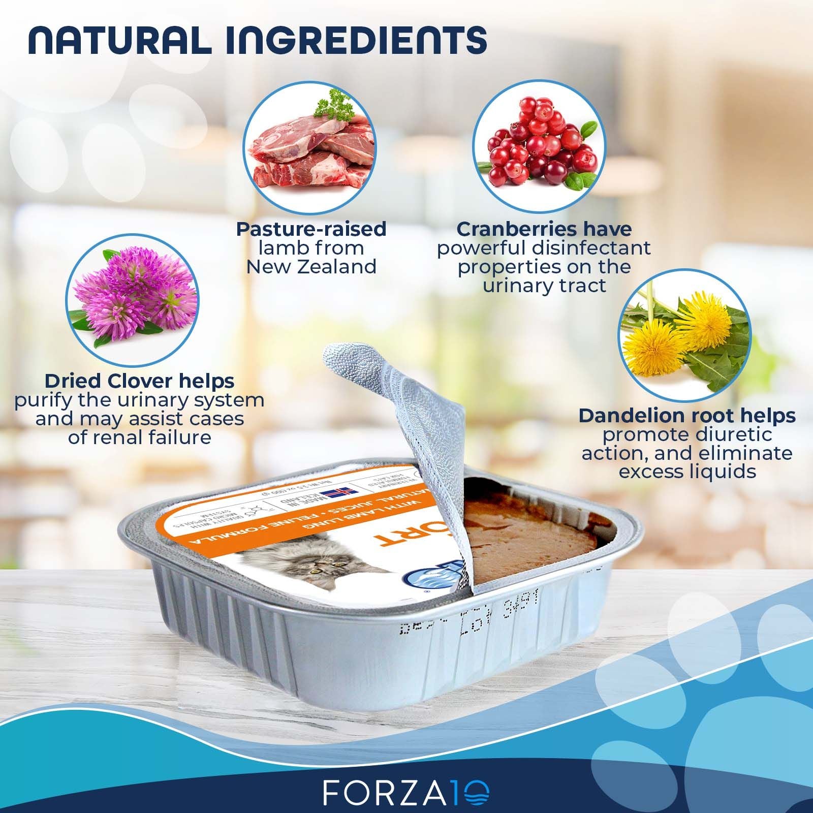 Opened tray of Forza10 cat food showing natural ingredients highlights: pasture-raised lamb, cranberries, dried clover, and dandelion root