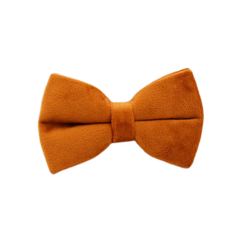 Rust orange velvet bow tie for dog collar