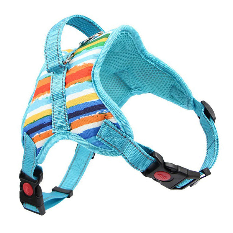 Blue striped dog harness with padded mesh lining and buckle closures
