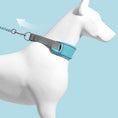 Load image into Gallery viewer, Cute Dog Collar Leash Explosion-proof And Anti-off
