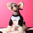 Charger l'image dans la visionneuse de la galerie, Dog Clothes Stitching Zipper Pullover Sweater
