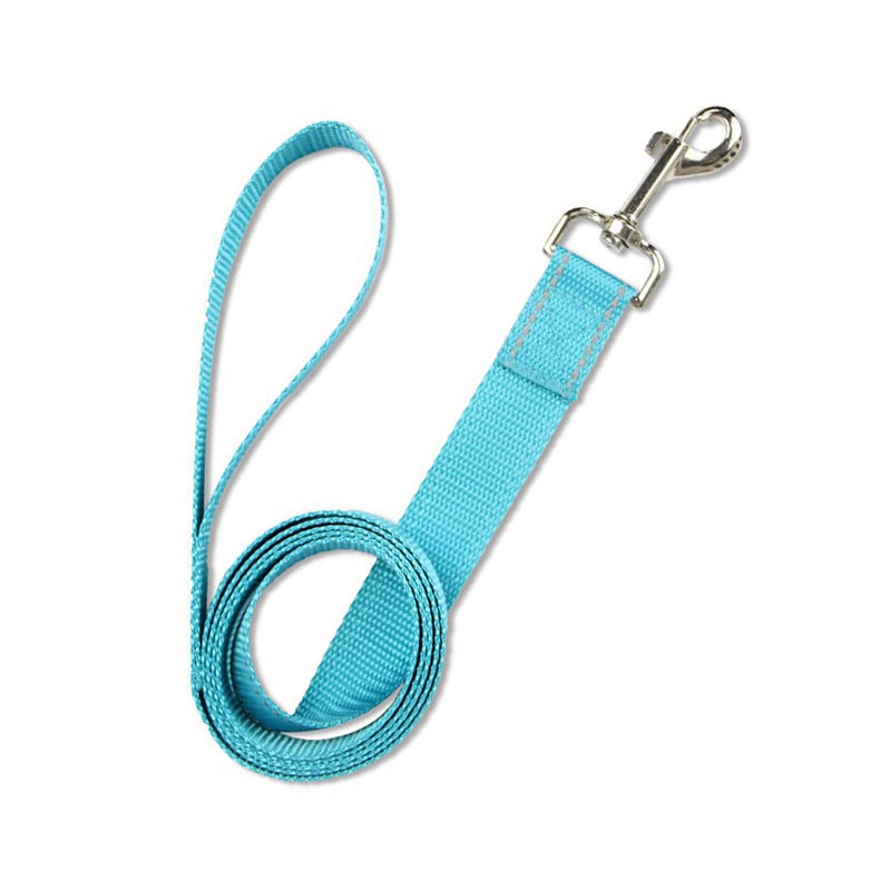 Blue reflective leash with metal clasp and loop handle coiled on white background