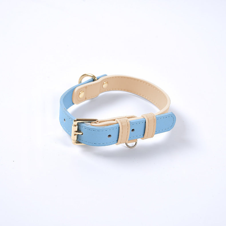 Light blue and beige adjustable leather dog collar with gold buckle and D-ring on white background