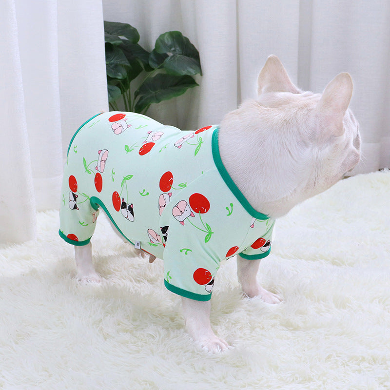 White French Bulldog standing showing side view of mint green cherry print pajamas