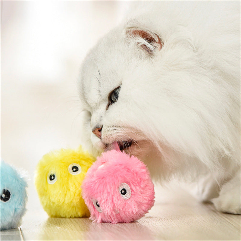 Close-up of a white fluffy cat interacting with the pink plush teaser ball among yellow and blue plush toys on a light floor