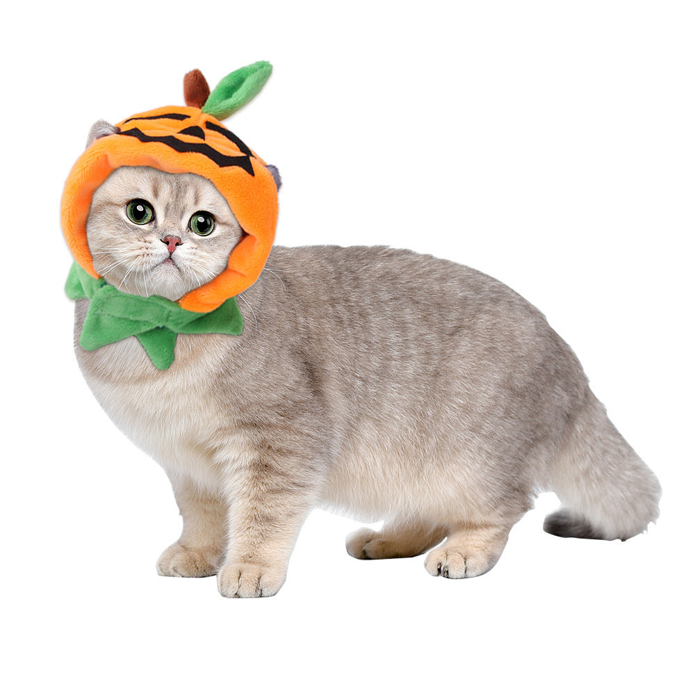 Light gray tabby cat wearing a pumpkin-themed hood with jack-o-lantern face and green leaf detail, with an attached pet cloak collar in green and orange.