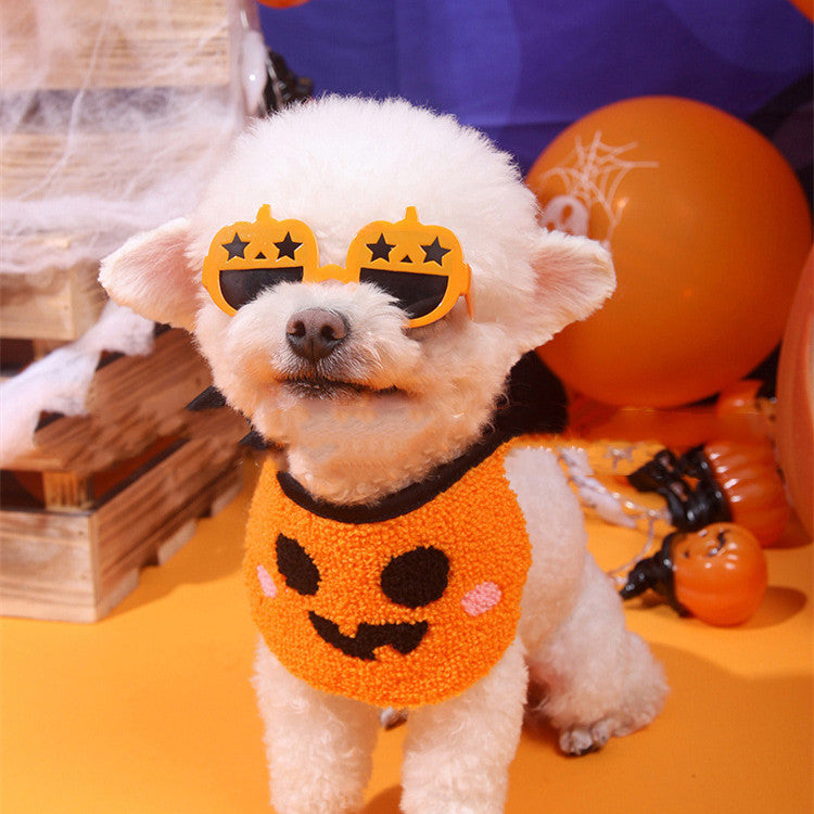 Small white dog wearing orange pumpkin sunglasses with star cutouts and an orange pumpkin-themed vest