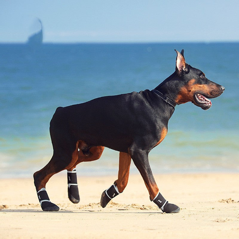Doberman dog walking on beach wearing black outdoor dog boots on all paws