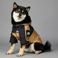 Charger l'image dans la visionneuse de la galerie, Black and tan dog wearing a gold and black hooded raincoat jacket sitting facing forward
