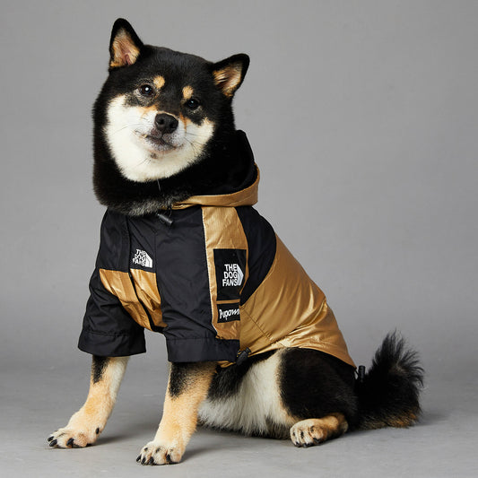 Black and tan dog wearing a gold and black hooded raincoat jacket sitting facing forward