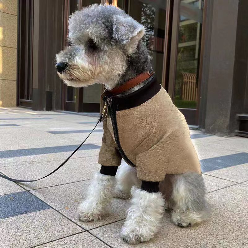 Small dog on leash wearing zipped khaki winter jacket outdoors