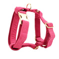 Charger l'image dans la visionneuse de la galerie, Pet Collar Dog Fabric Velvet
