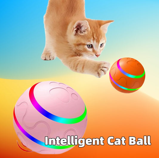 Orange and pink intelligent cat balls with LED light strips and a playful kitten pawing at the ball