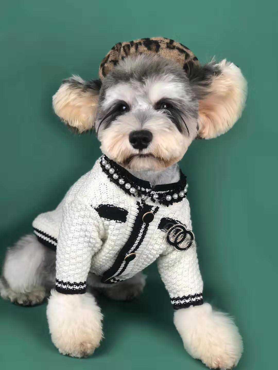 Dog Clothes Spring Small Fragrant Wind Sweater Cardigan Schnauzer Pomeranian