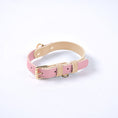 Cargar la imagen en la vista de la galería, Pastel Leather Dog Collar & Leash Set
