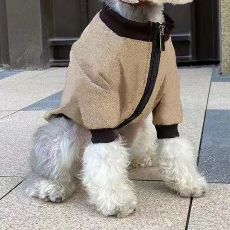 Close-up side view of small dog wearing khaki jacket with black cuffs and zipper