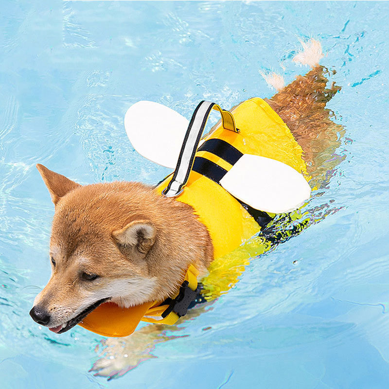 Shiba Inu dog swimming in pool wearing yellow animal-inspired life jacket with white wings and black straps