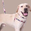 Load image into Gallery viewer, Light colored dog wearing pink geometric patterned collar and harness smiling
