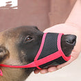 Load image into Gallery viewer, Mouth Cover To Prevent Eating Indiscriminately Large Labrador Dog
