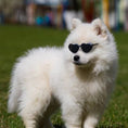 Load image into Gallery viewer, Doll Sunglasses Pet Toy Accessories

