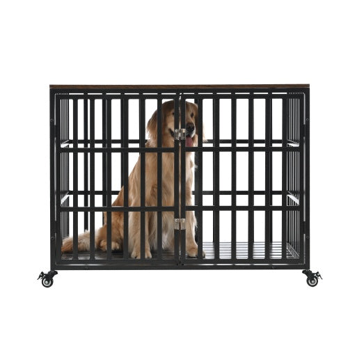 Black heavy-duty metal dog crate with a golden retriever inside