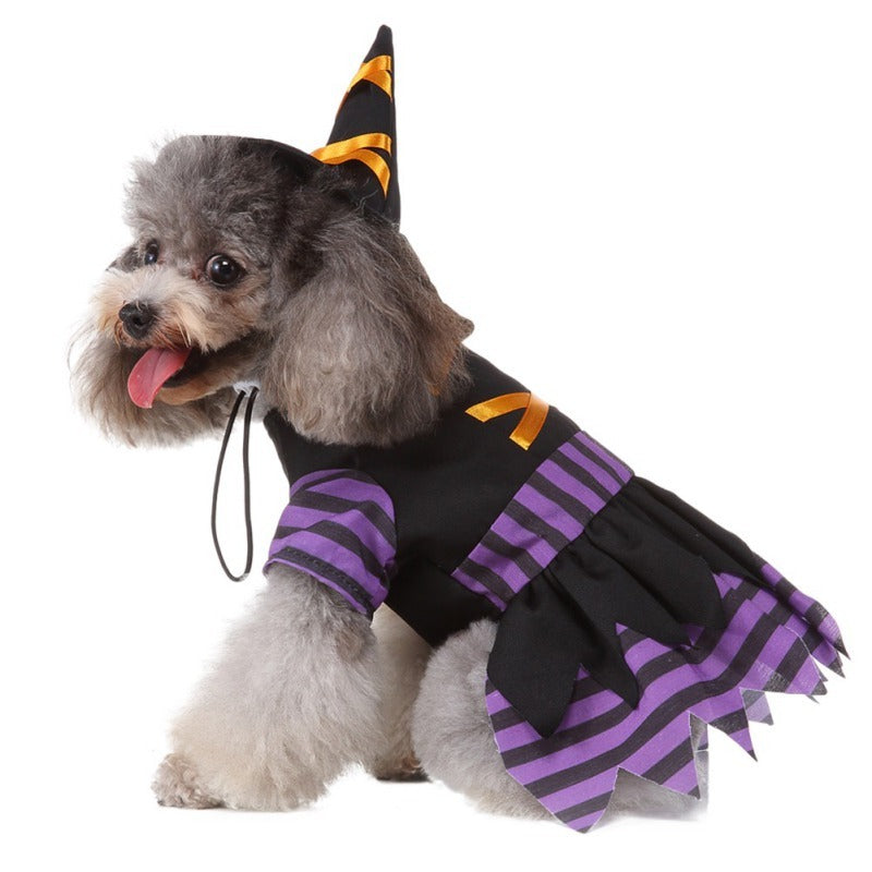 Close-up side view of small dog in black and purple witch costume with orange ribbon lacing, dog's tongue out.