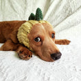 Load image into Gallery viewer, Pet Dog Dinosaur Warm Windproof Halloween Knitted Hat Head Cover

