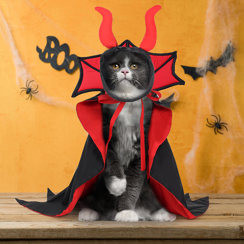 Grey and white cat wearing a black and red vampire cape with hood and red horns sitting on a wooden surface with Halloween decorations in the background