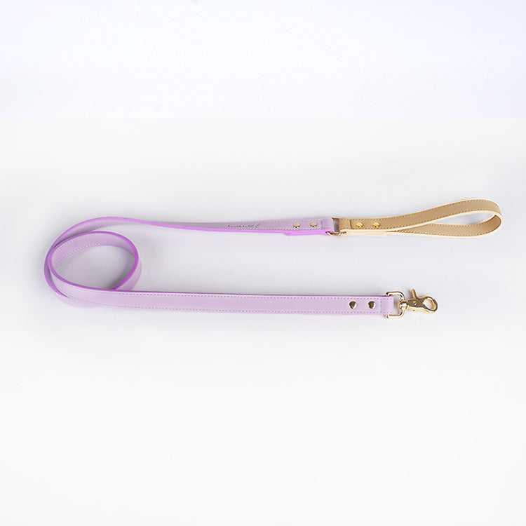 Pastel Leather Dog Collar & Leash Set